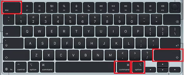 Option Shift Command Escape for 3 seconds