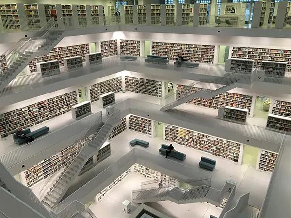 Database Requirements