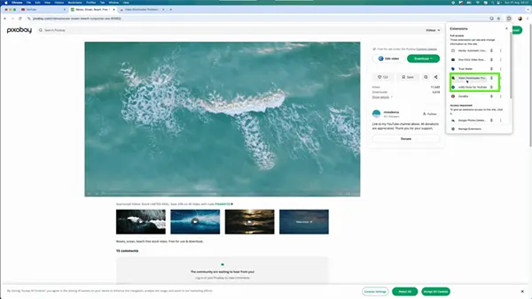 Select Video Downloader Professional