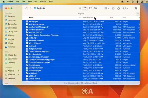 Selecting all files using Command A