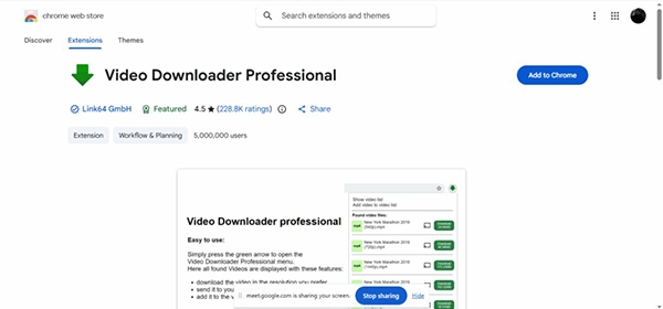 Video Downloader Professional 