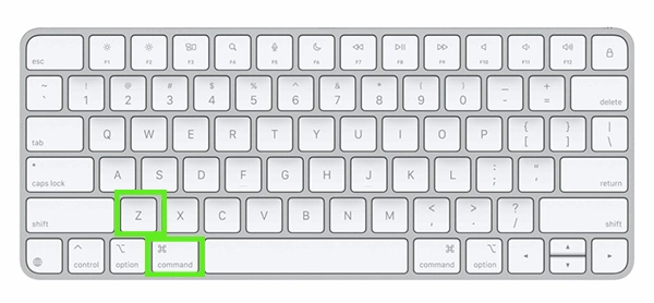 Command+ Z