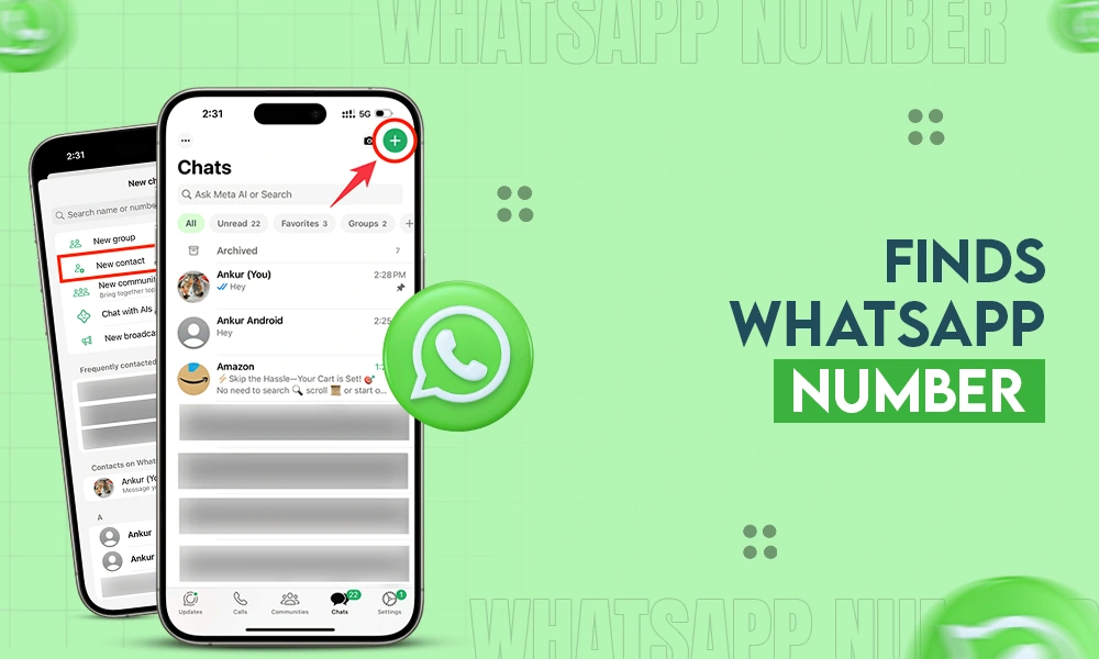 finds whatsapp number