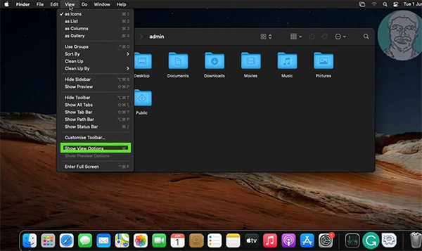 Click Show View Options&nbsp;