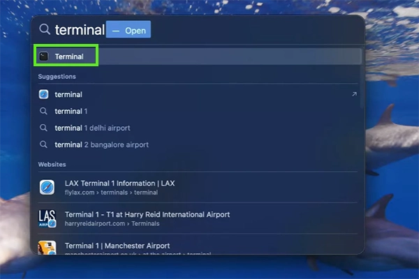 Click on Terminal&nbsp;