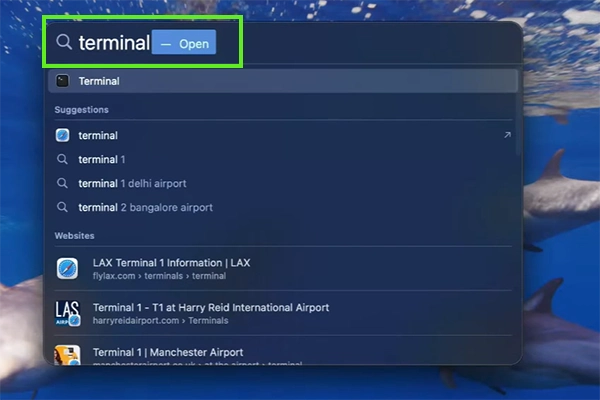 Search and type Terminal in the search bar&nbsp;