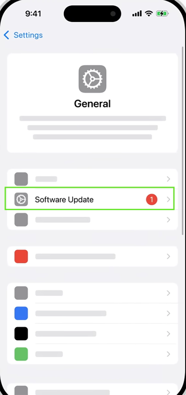 Tap on Software Update