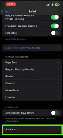 Tap on the “Advanced” option in the Safari app