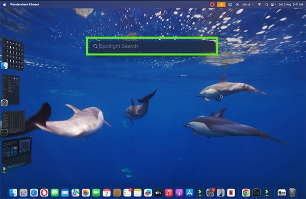  The Spotlight search option will appear 