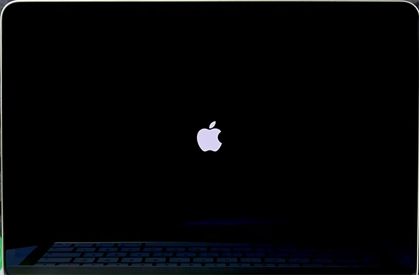 Wait for the screen to completely go black&nbsp;