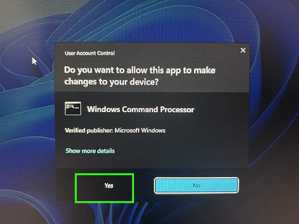 Click Yes.