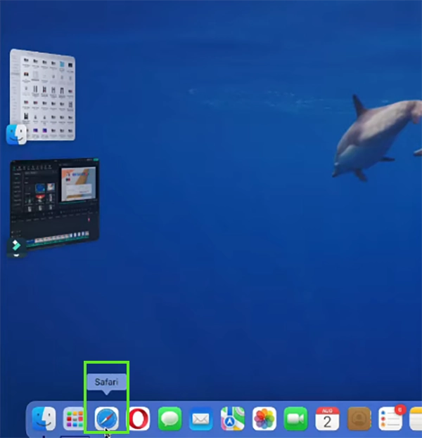 Open Safari&nbsp;