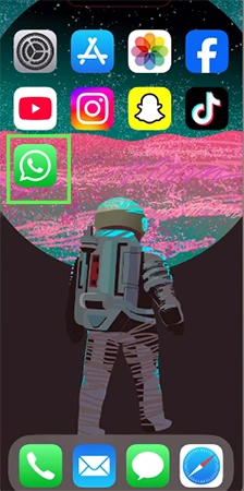 Open WhatsApp