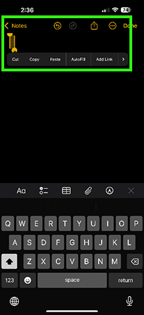 press and hold text input.