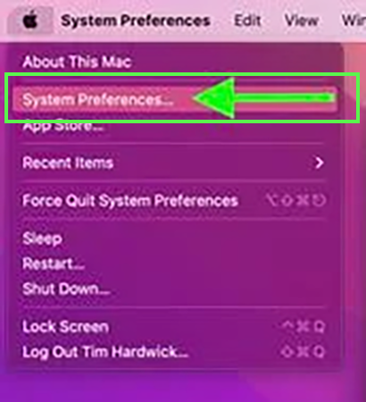 Click System Preferences