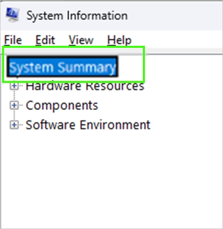 click on system information