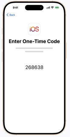 Now, in this window, you will see a one-time code.