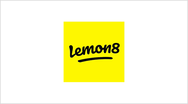What Is Lemon8 Core Features Popularity and Concerns Explained
